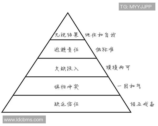 成都排球队的节奏变革引发热议探索新战术与团队协作的未来发展