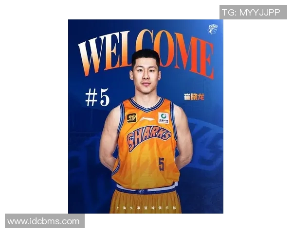 最新篮球个人能力排行榜出炉上海篮球队球员表现抢眼位居前列